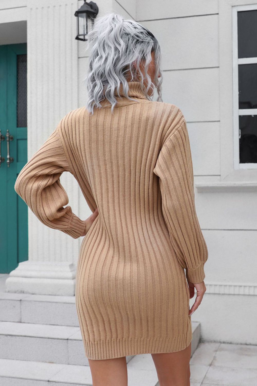 Ribbed Turtle Neck Long Sleeve Mini Sweater Dress - Siennasass