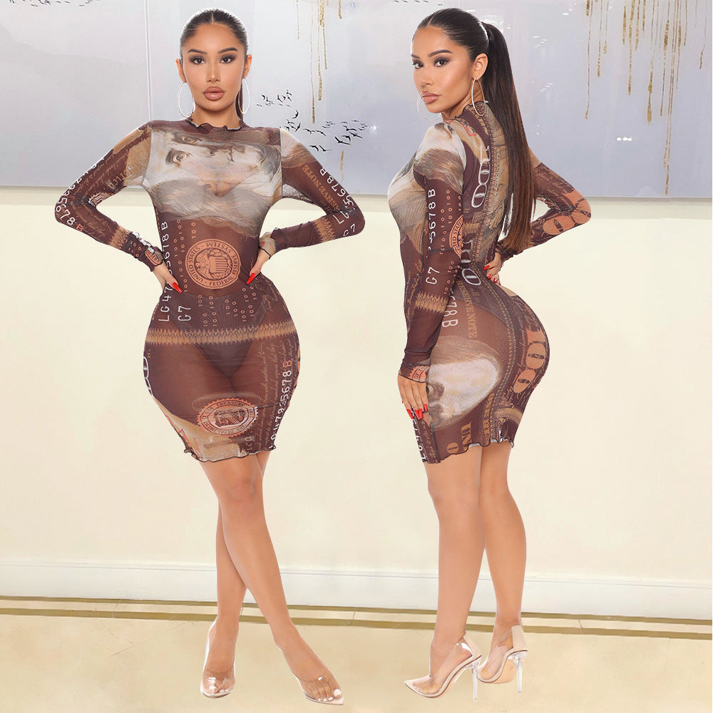 Mesh Long-sleeved Dress
