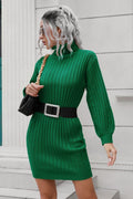 Ribbed Turtle Neck Long Sleeve Mini Sweater Dress - Siennasass