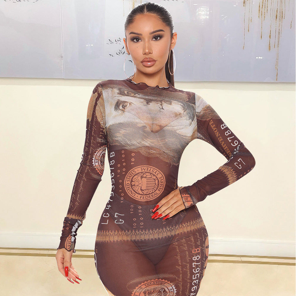 Mesh Long-sleeved Dress