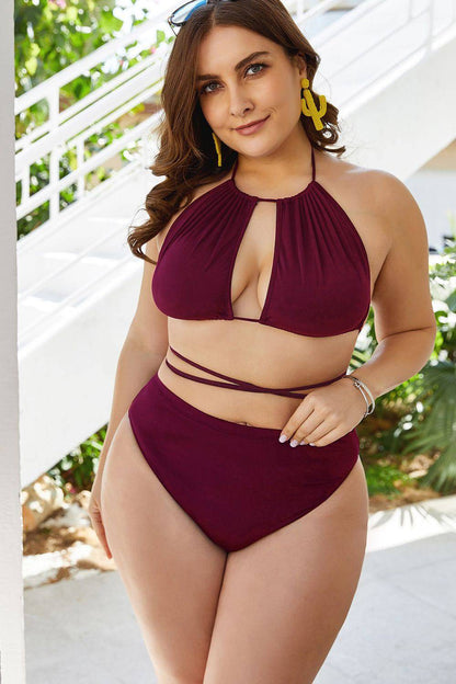 Plus Size Cutout Tied Backless Bikini Set - Siennasass