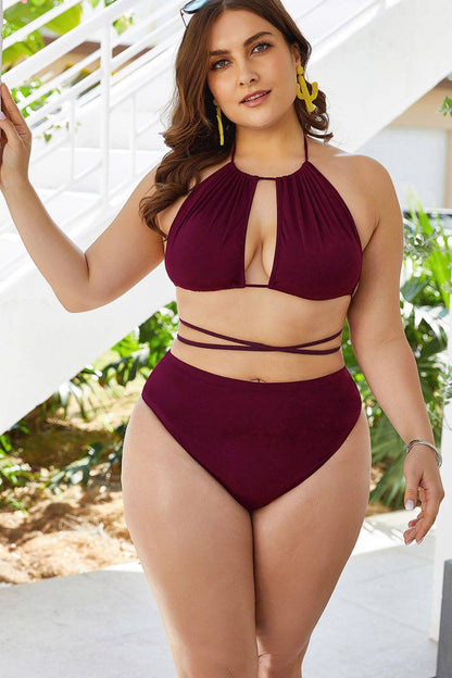 Plus Size Cutout Tied Backless Bikini Set - Siennasass