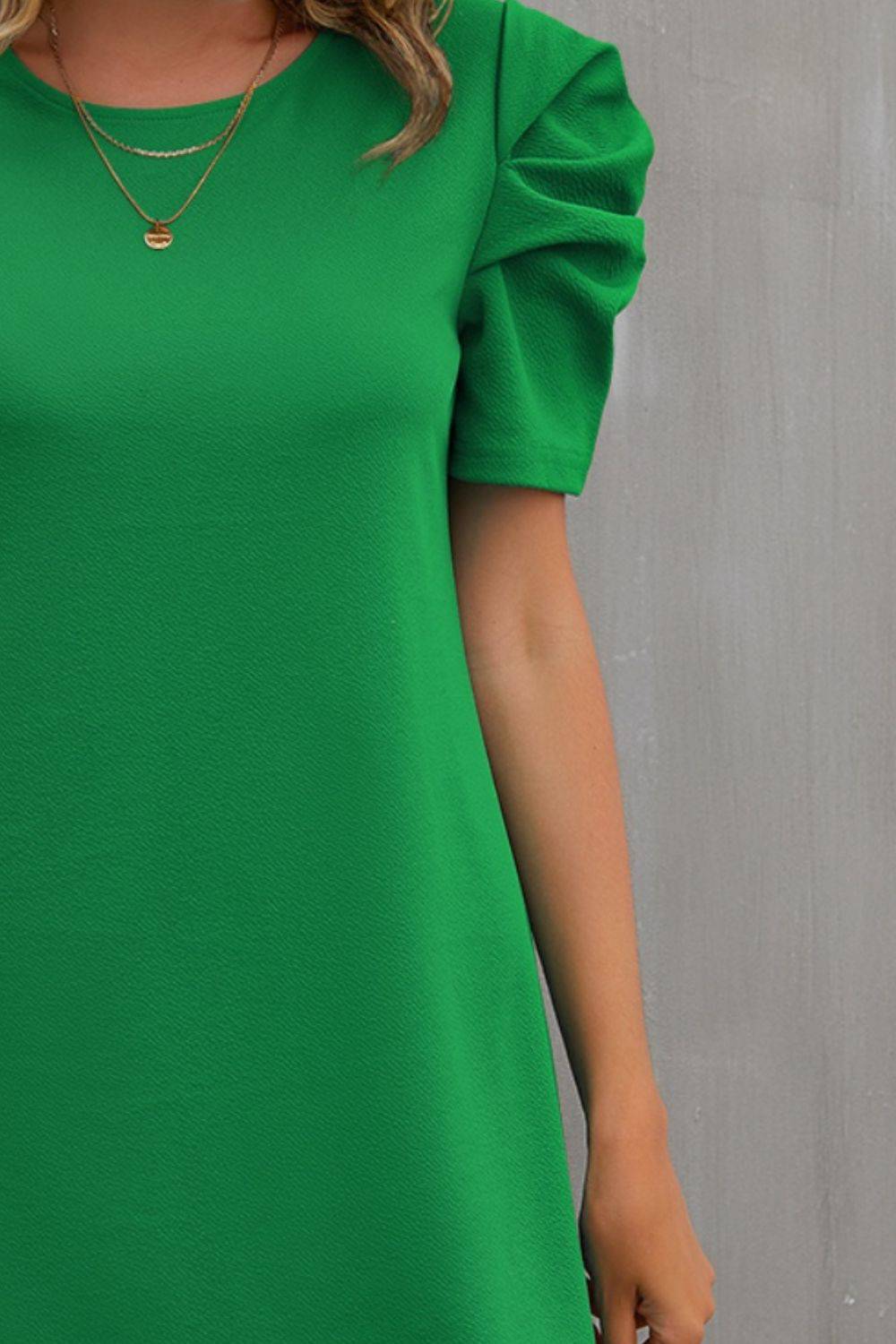 Round Neck Puff Sleeve Mini Dress - Siennasass